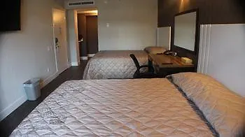Hotel Cliff New York